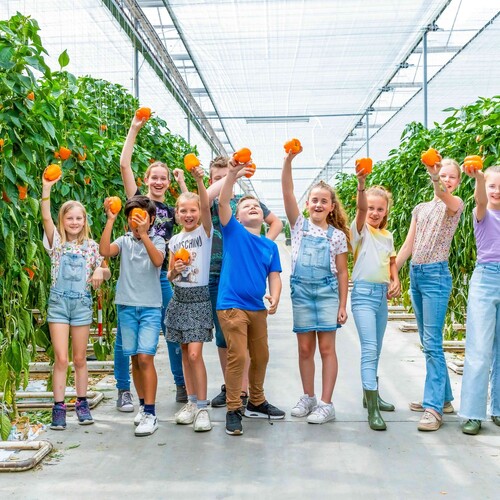 Scholen, Ouders