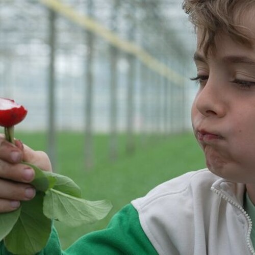 Ondernemers, Overheid, Scholen, Ouders