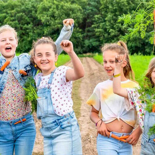 Samenwerken aan gezonde voeding op scholen