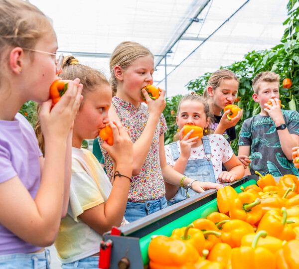 Samenwerken aan gezonde voeding op scholen