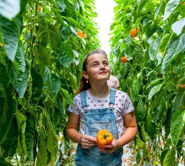 Samenwerken aan gezonde voeding op scholen