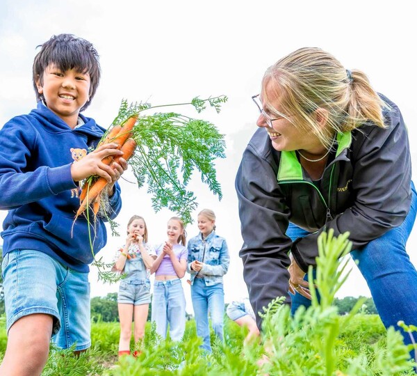 Gezonde, groenterijke schoollunch