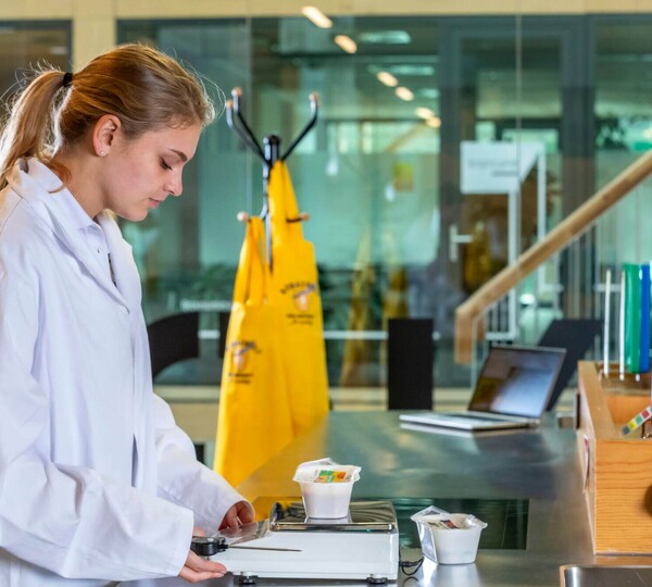 Gezonde, groenterijke schoollunch